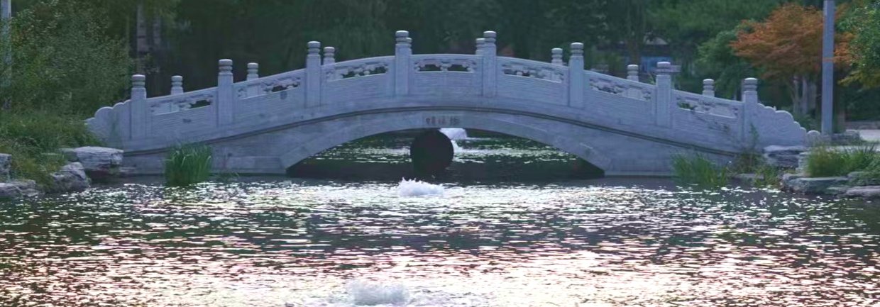 引入“揭榜挂帅”机制