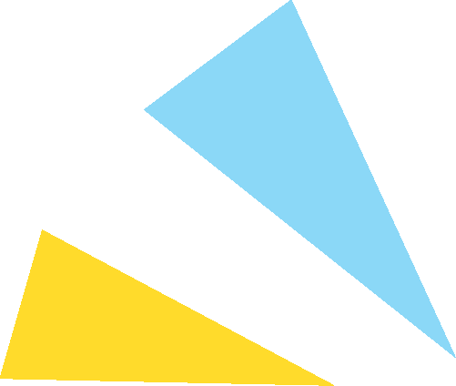 面向各级政府