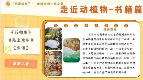 努力建设美丽中国”的号召