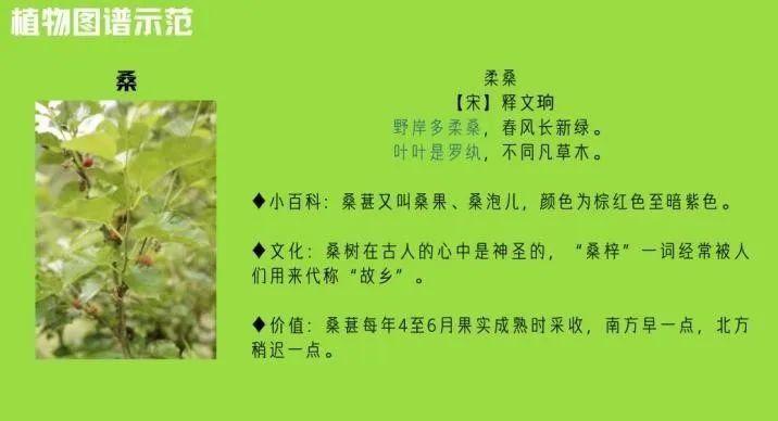 临溪中学