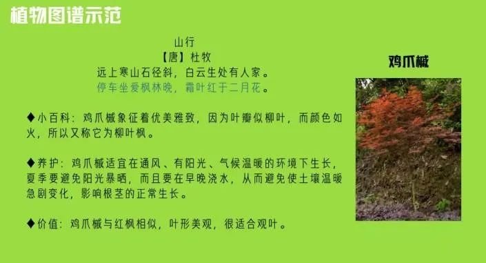 与来自五城中学