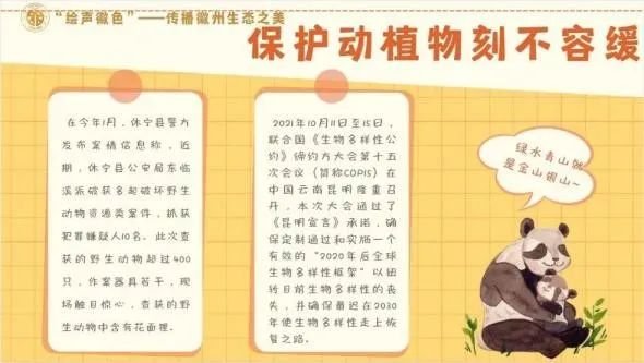 积极响应“要把生态文明建设放在突出地