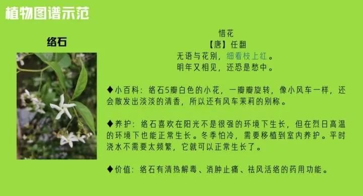 小瓢虫支教团通过线上授课形式