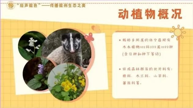 ku游官网优惠活动自然科学社（NAS