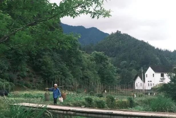 ku游官网优惠活动自然科学社（NAS