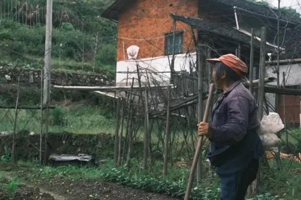 积极响应“要把生态文明建设放在突出地