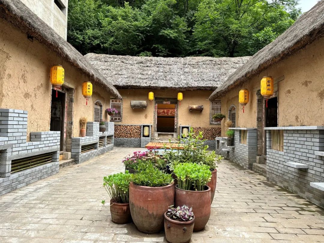 校级表彰7项